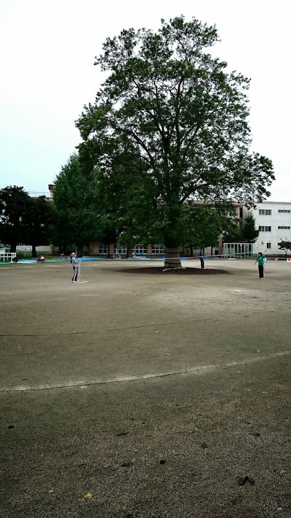 宮代町立須賀小学校 - メイン写真: