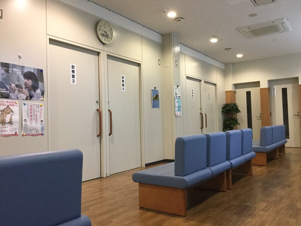 The 10 Best Hospital in Yamaguchishi