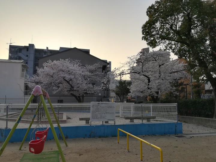 新阪南公園 - メイン写真: