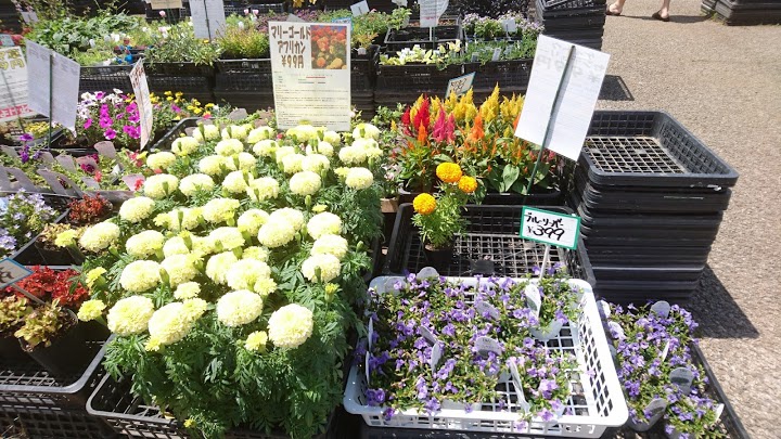 （有）田安花園白井店(たやすかえん）