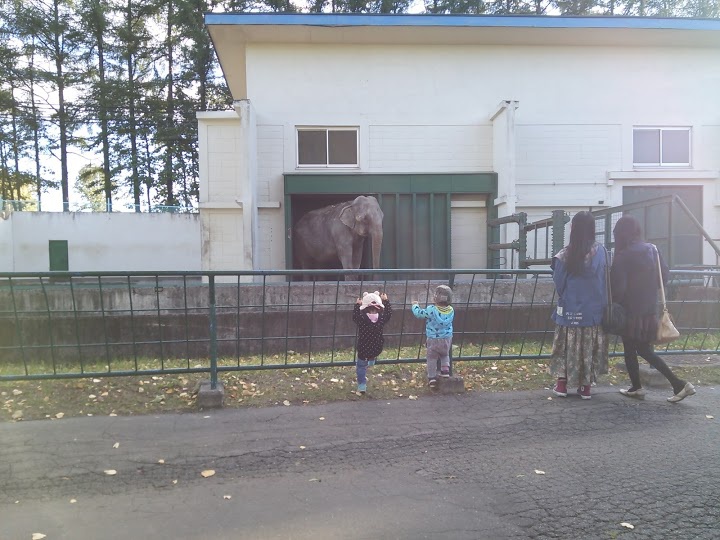 緑ヶ丘公園駐車場（動物園西） - メイン写真: