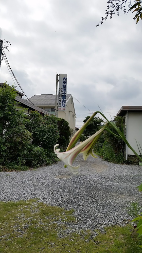 内田良一税理士事務所 - メイン写真: