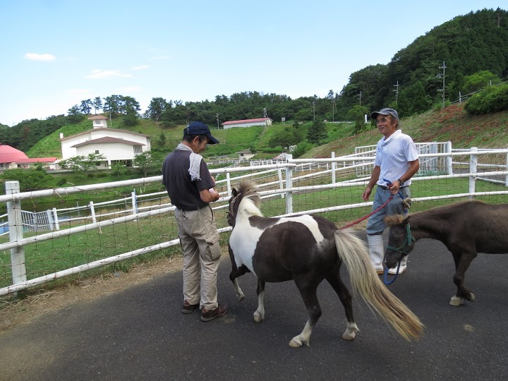 碇高原コテージ村