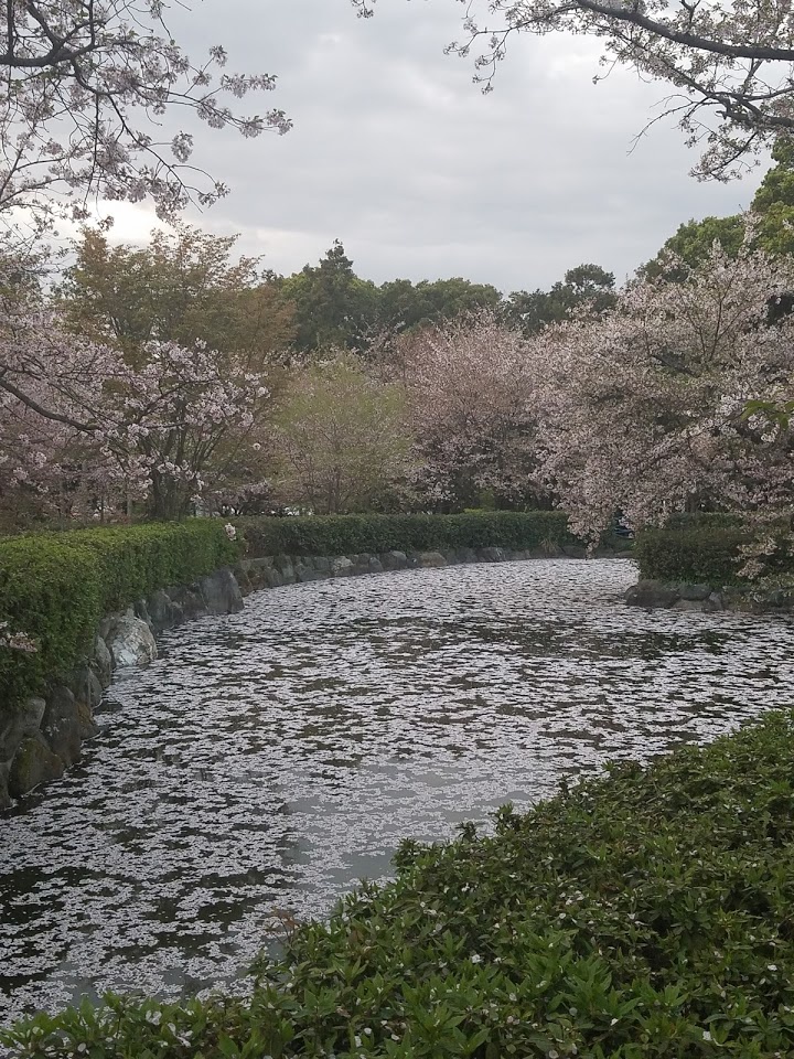 すすきが原公園 - メイン写真: