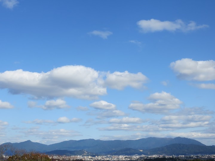 みかんの花咲く丘 - メイン写真: