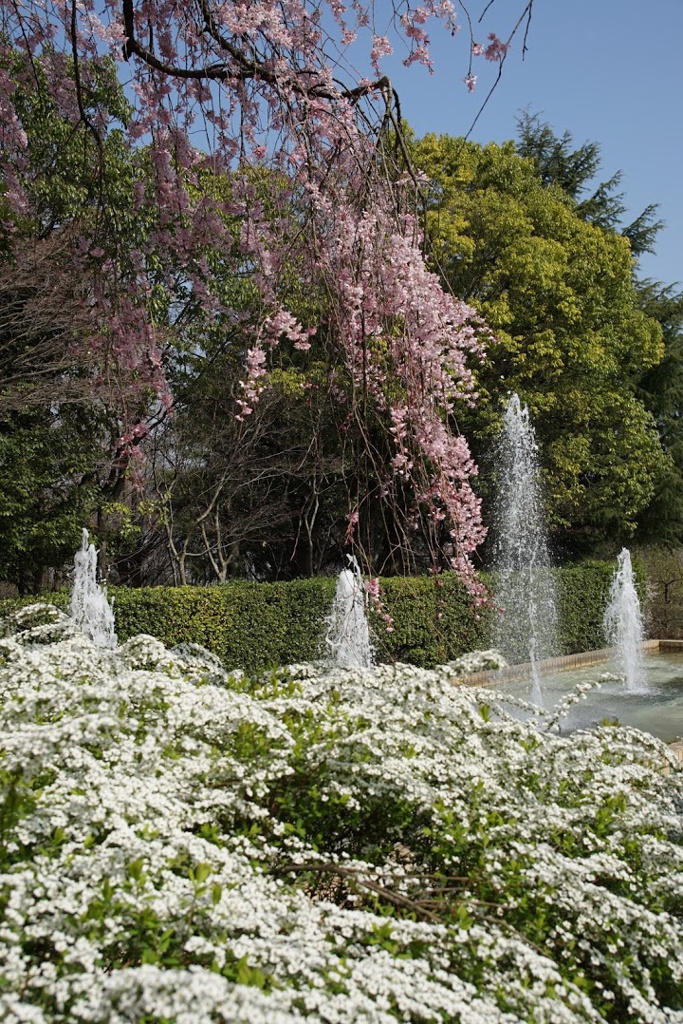 花畑園芸公園噴水広場 - メイン写真: