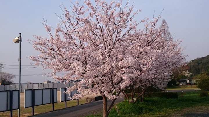 山陽小野田市立　有帆小学校 - メイン写真: