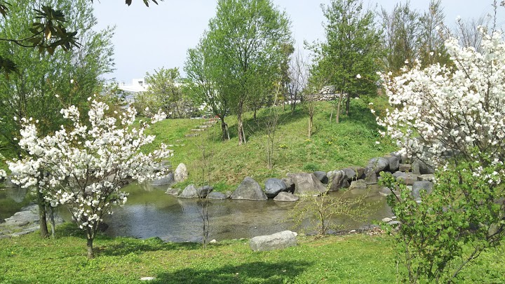 滑川市役所　スポーツ・健康の森公園 - メイン写真: