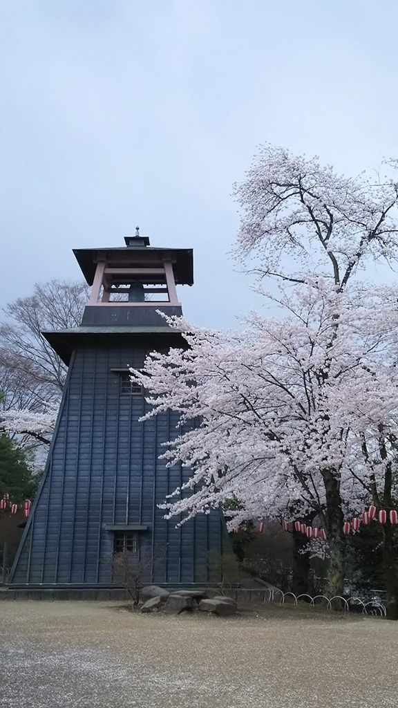 沼田公園桜まつり - メイン写真: