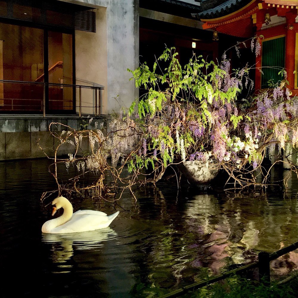 Rokkaku-do Temple (頂法寺 (六角堂)) - メイン写真: