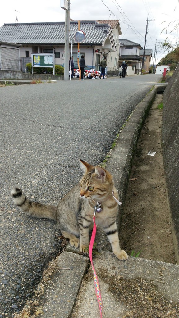 福山北警察署服部警察官駐在所 - メイン写真: