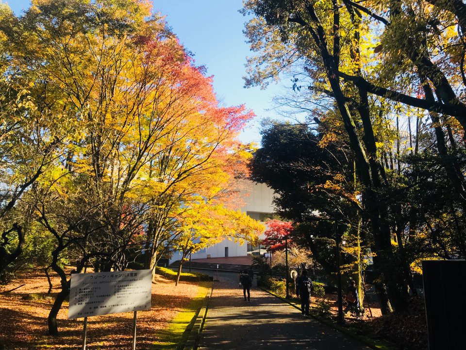 中央大学 中央図書館 テラス席 - メイン写真: