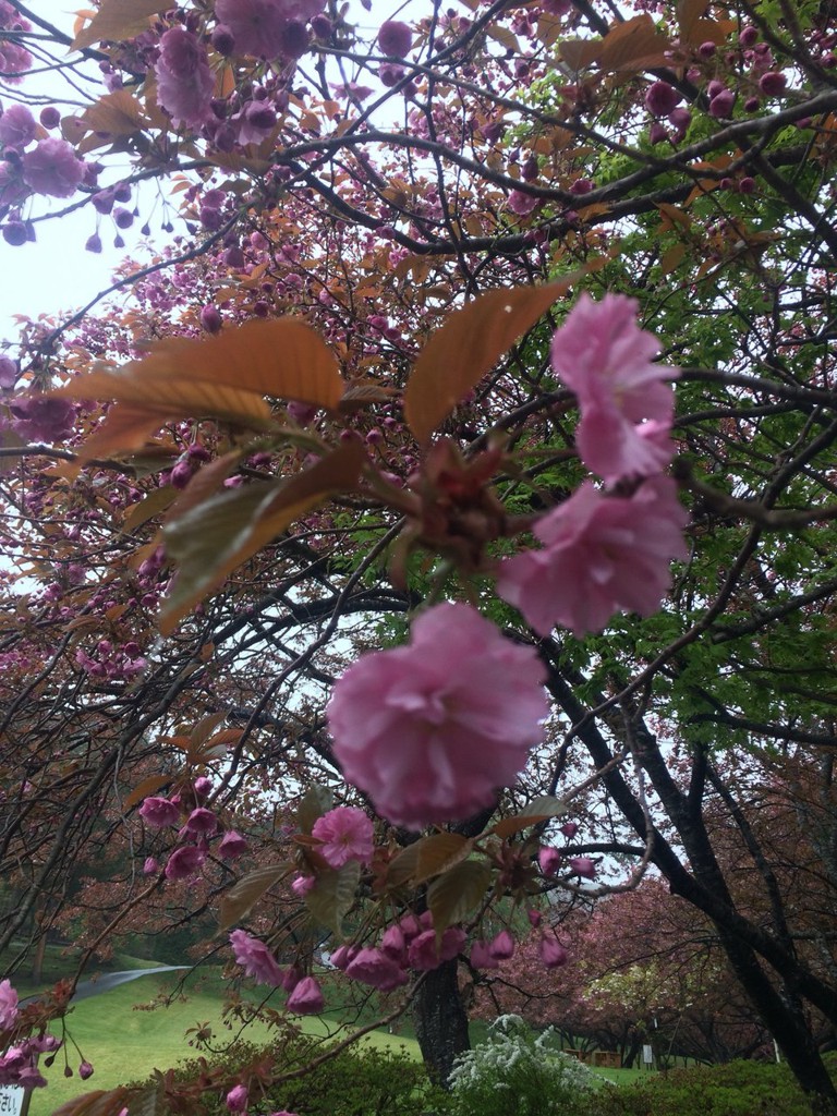 石崎地主海神社入り口 - メイン写真: