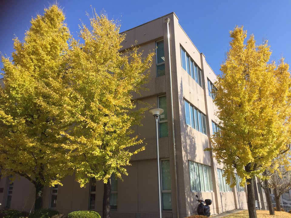 鹿児島大学附属図書館 桜ヶ丘分館 - メイン写真: