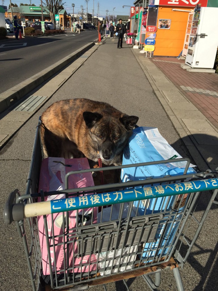 カインズホーム 塩尻店 - メイン写真: