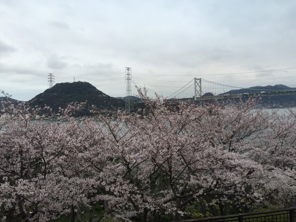 下関市営国民宿舎 海峡ビューしものせき - メイン写真: