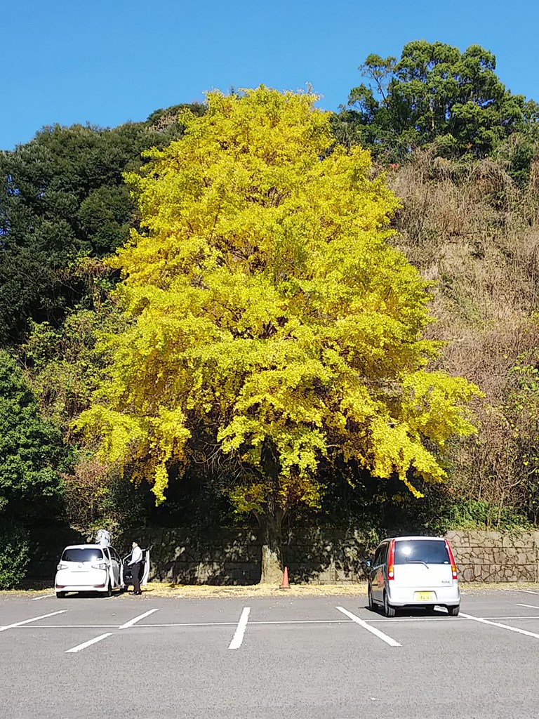 城山駐車場 - メイン写真: