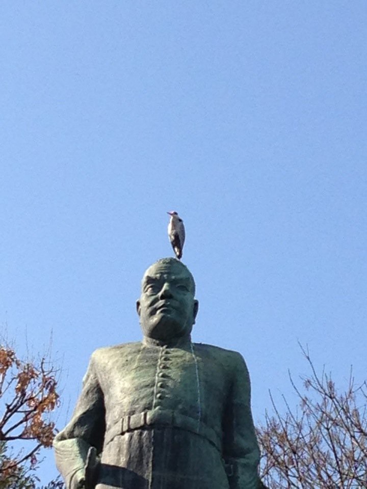 Saigo Takamori Statue (西郷隆盛銅像) - メイン写真: