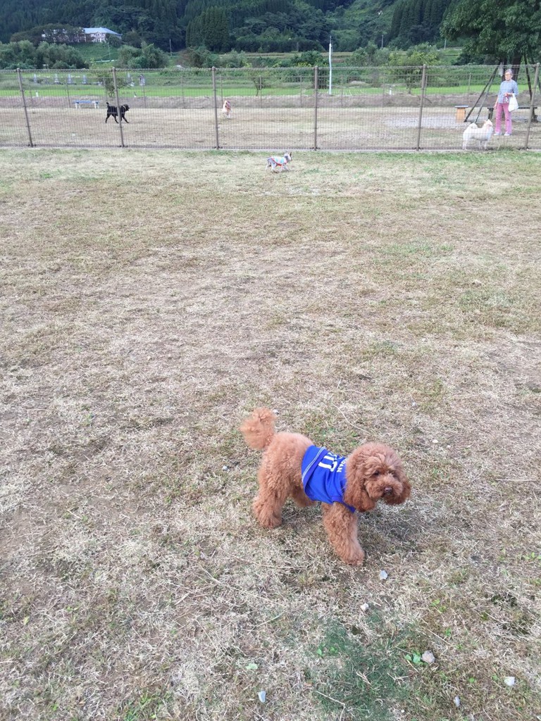 The 3 Best Sports in Oyabeshi