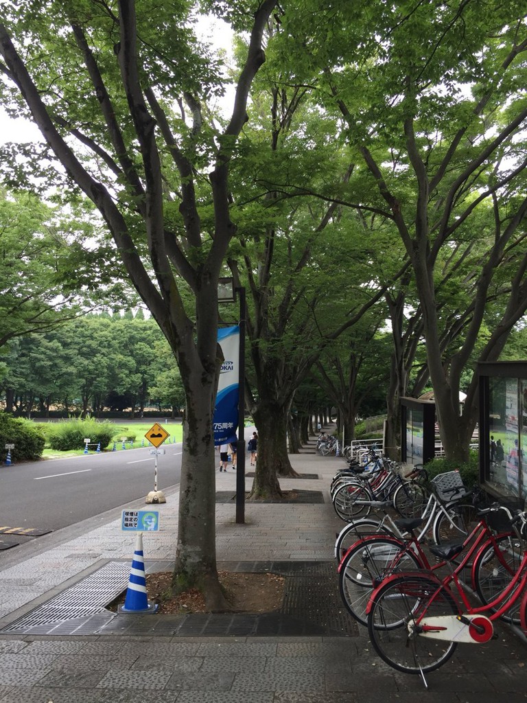 東海大学 4号館 図書館 - メイン写真: