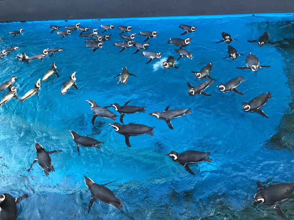 上越市立水族博物館 うみがたり - メイン写真: