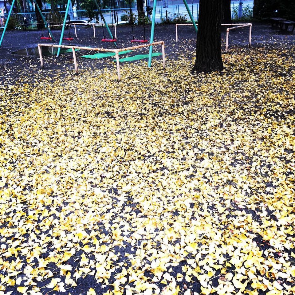 八幡山の洋館 - メイン写真: