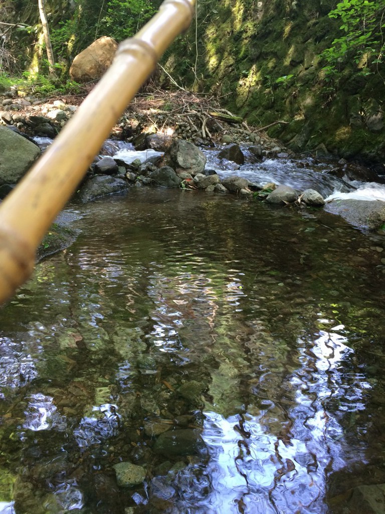 みのげマス釣りセンター - メイン写真: