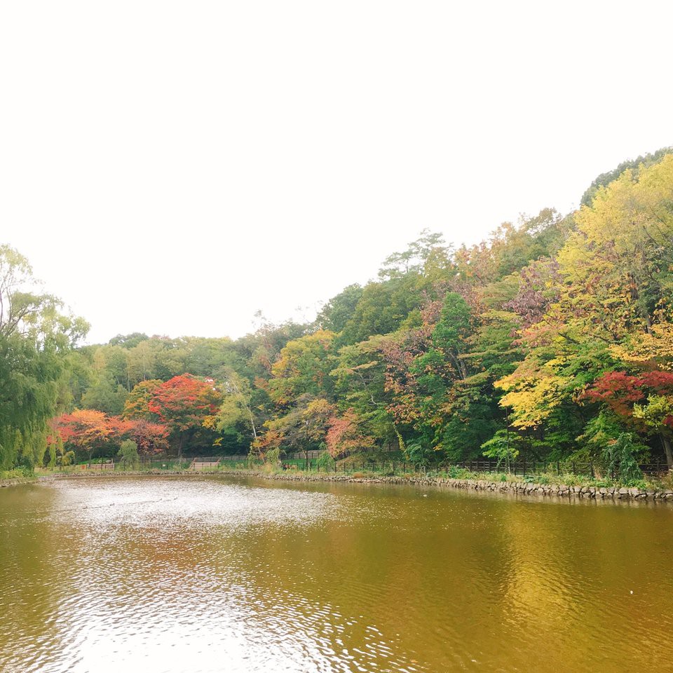 月寒公園 - メイン写真: