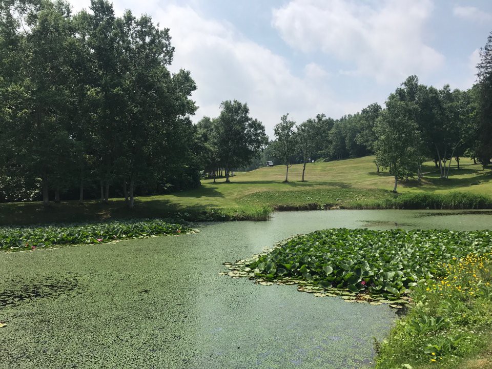 Niseko Golf Course (니세코 골프코스) - メイン写真: