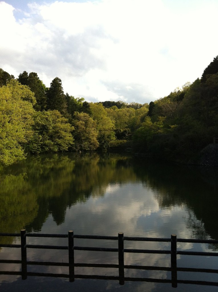 みなくち子どもの森 自然館 - メイン写真: