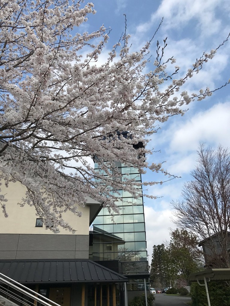 五戸町図書館 - メイン写真: