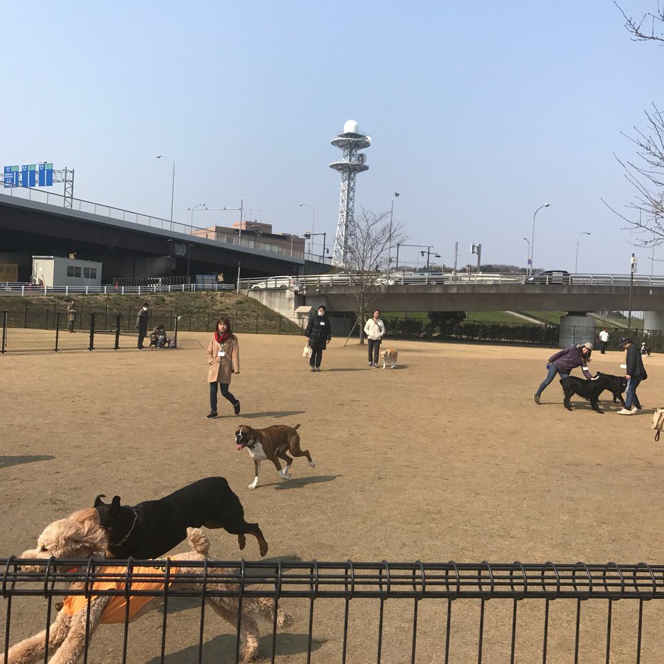 新横浜公園ドッグラン