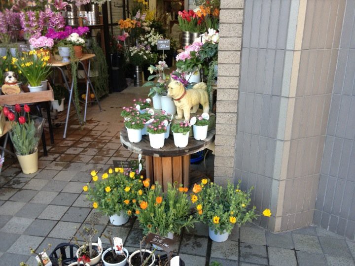 いわさきハーティーフローラ 西口店