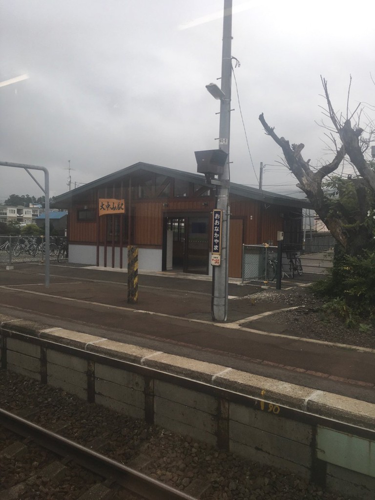 Ōnakayama Station (大中山駅) - メイン写真: