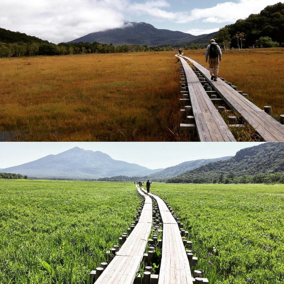 Oze National Park (尾瀬国立公園) - メイン写真: