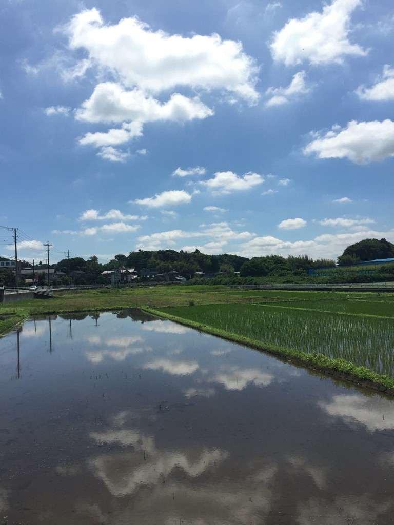 Lawson (ローソン 船橋大穴北店) - メイン写真: