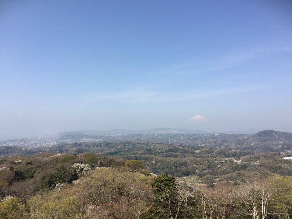 高麗山公園レストハウス - メイン写真: