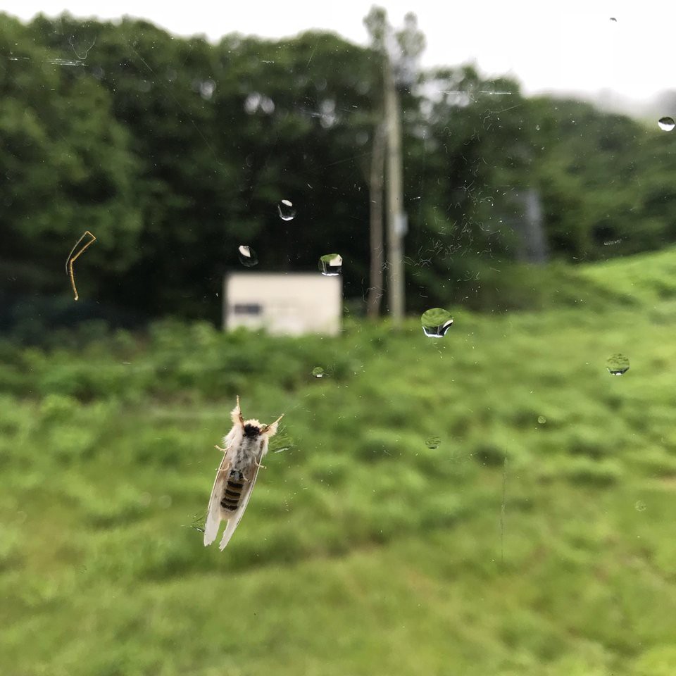 小樽天狗山ロープウェイ 山麓駅 - メイン写真: