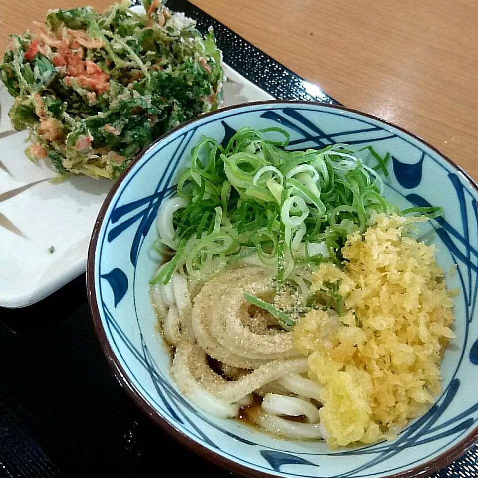 The 4 Best Izakaya near shin kano Station