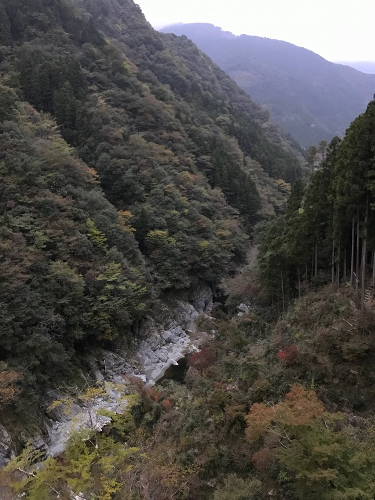 渓谷の隠れ宿 祖谷美人 - メイン写真: