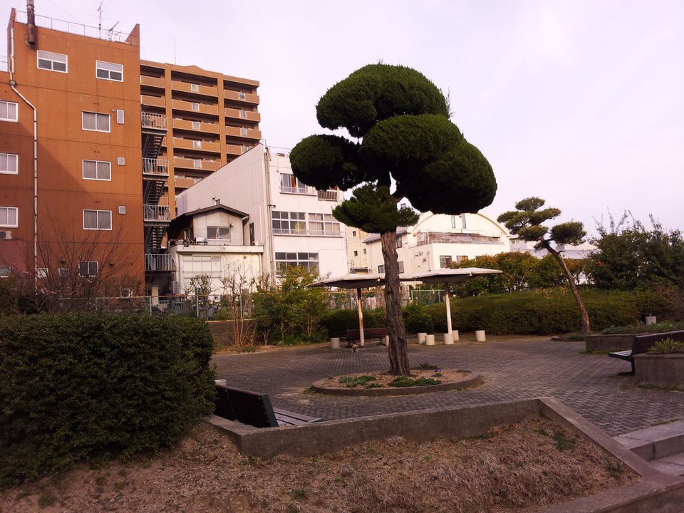 どうどう公園 - メイン写真: