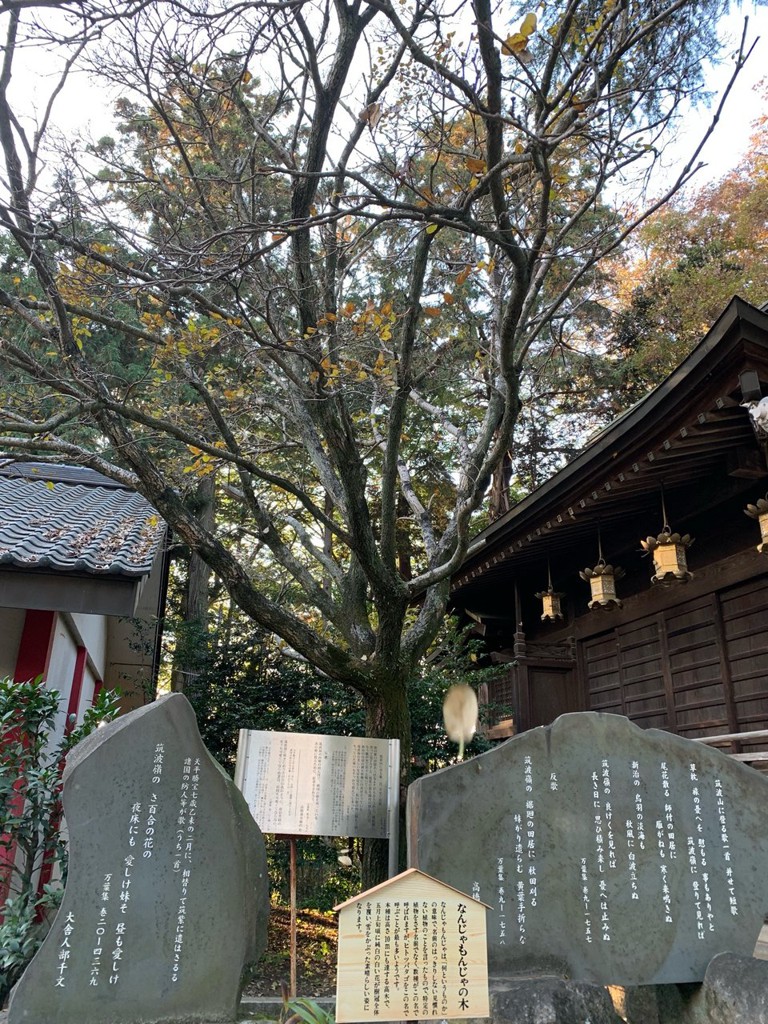 大宝八幡宮 - メイン写真: