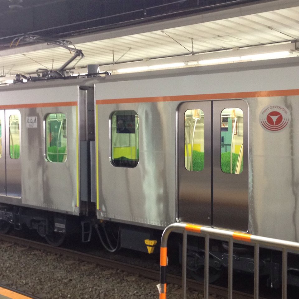 Jiyūgaoka Station (自由が丘駅) - メイン写真: