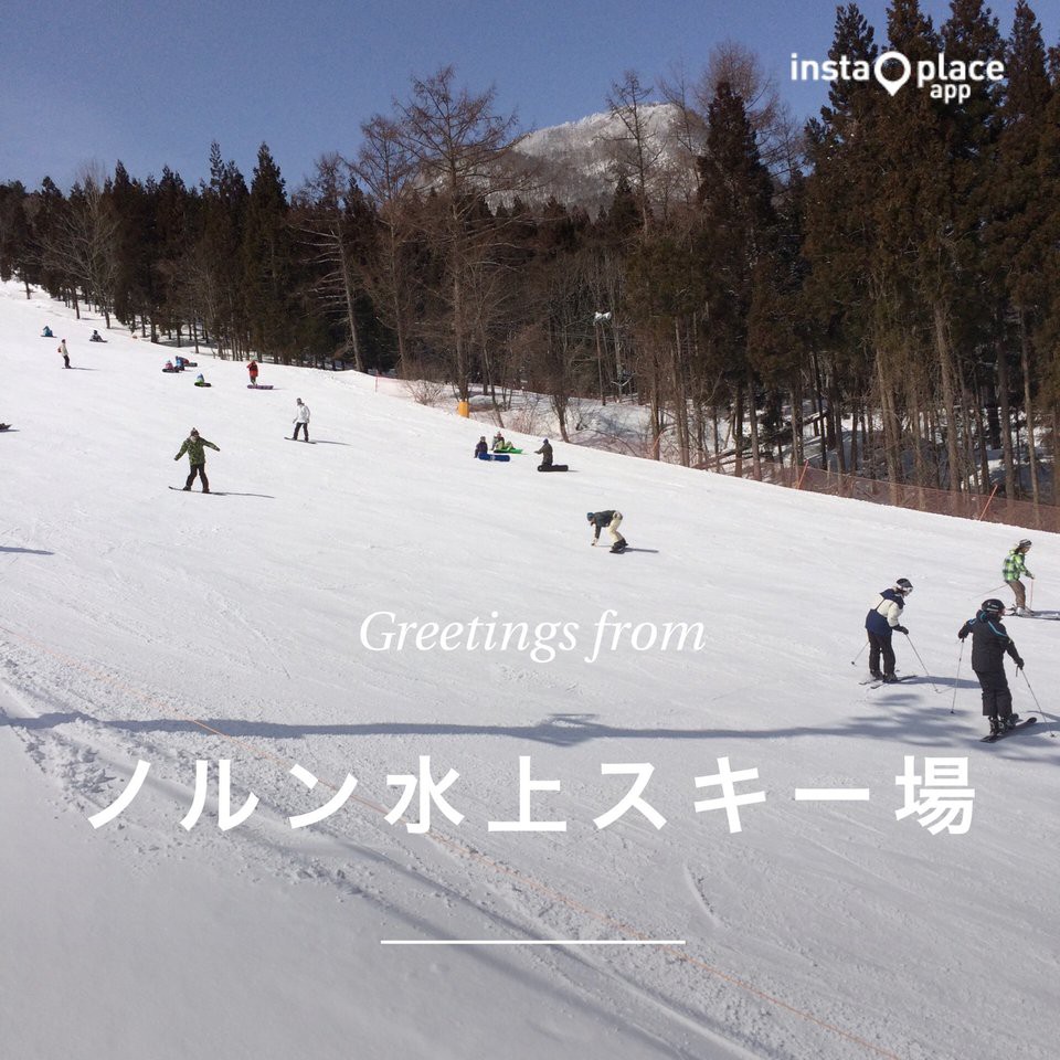 ノルンみなかみフラワーガーデン - メイン写真: