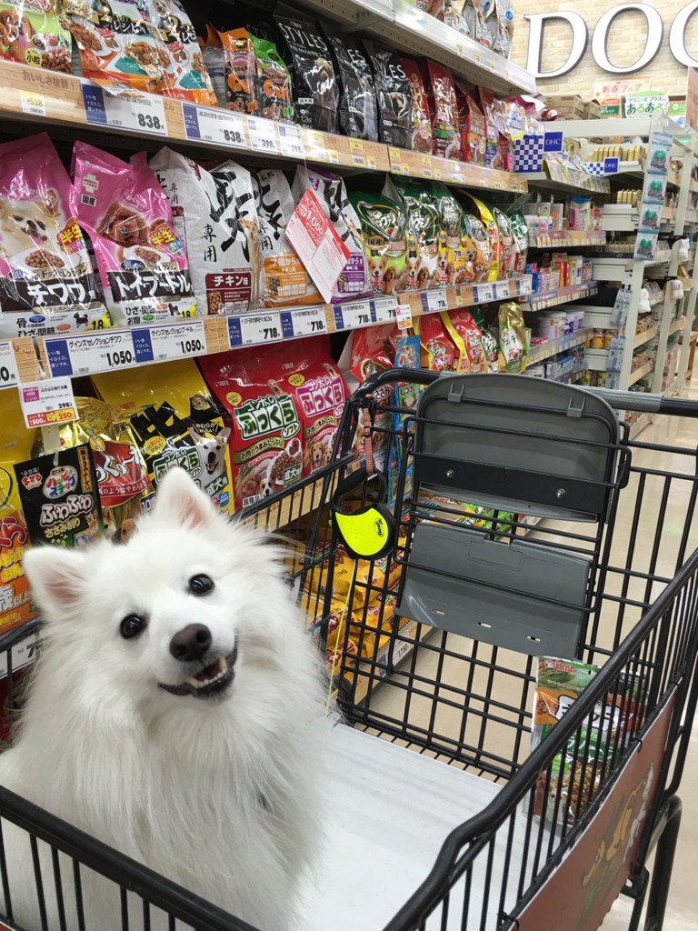 島忠ホームズ 与野店