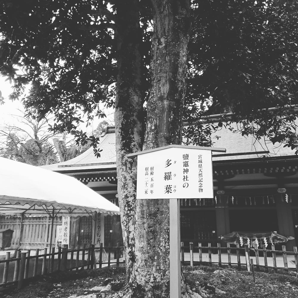 The 10 Best Temple Shrine in Miyagi
