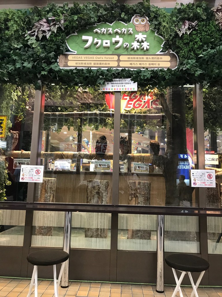 ベガスベガス狸小路二丁目店 - メイン写真: