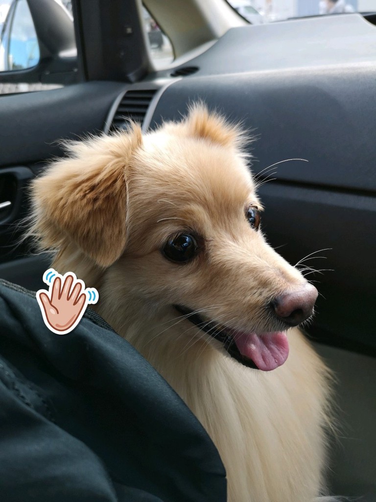 ホームセンター ハイエース