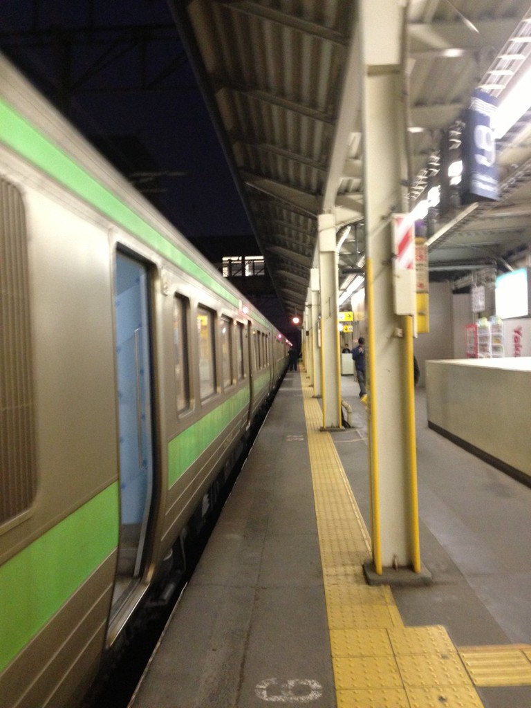 Shin-Sapporo Station (H05) (新札幌駅) - メイン写真: