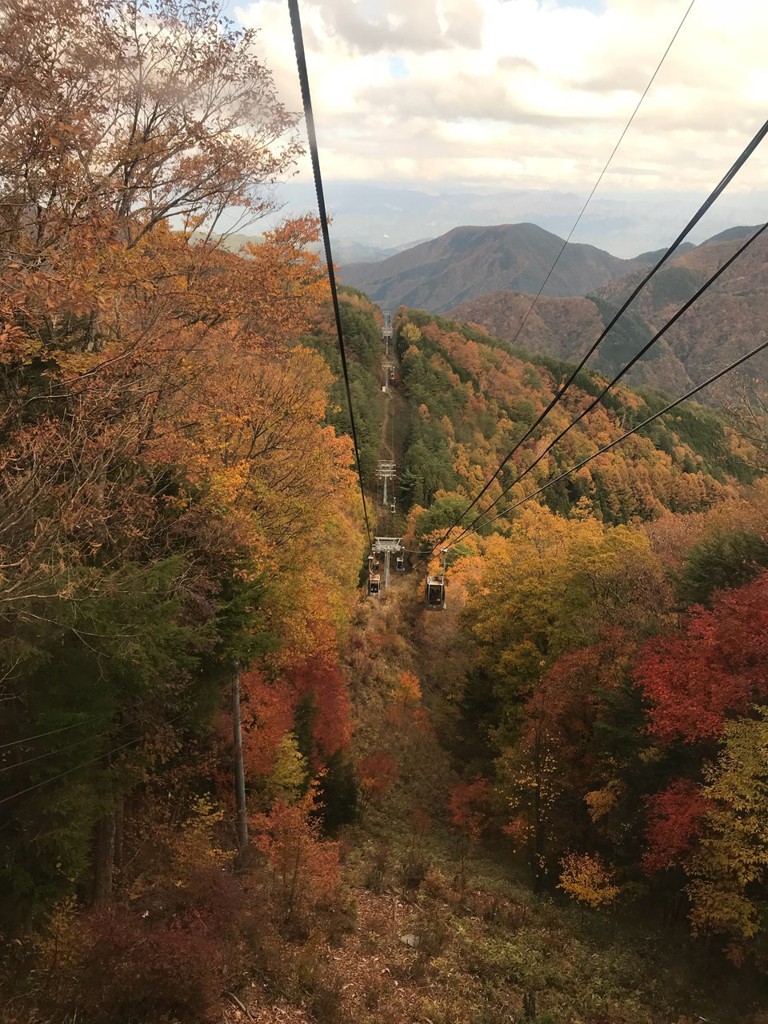 富士見台高原ロープウェイ 山頂駅 - メイン写真: